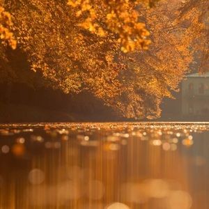 Meet your Posher, Trang